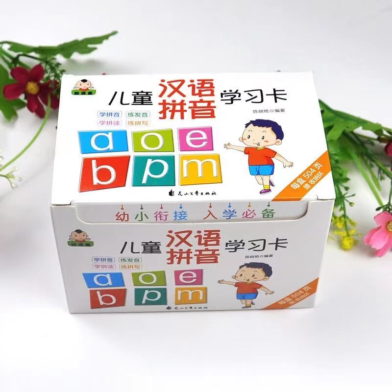 252 Stks/set Leren Chinese Pin - Kids Toys Now recensie en prijs