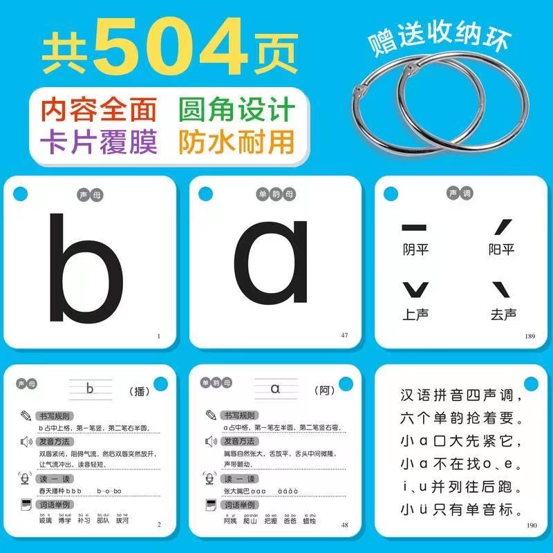 252 Stks/set Leren Chinese Pin - Kids Toys Now recensie en prijs