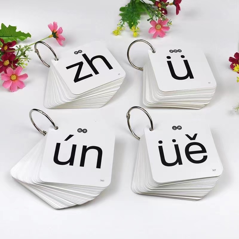 252 Stks/set Leren Chinese Pin - Kids Toys Now recensie en prijs